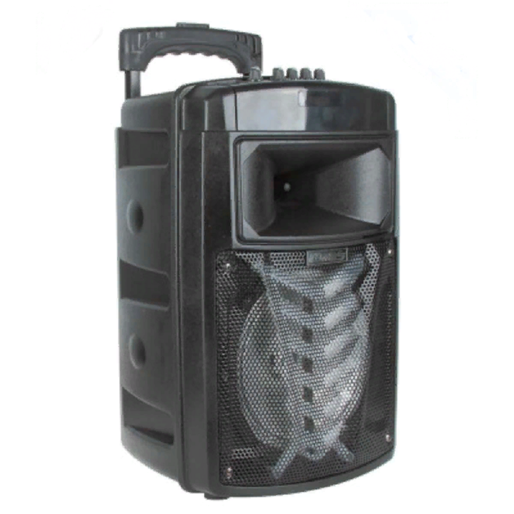 Cassa speaker portatile 8″ MR-213A bluetooth radio fm microsd usb