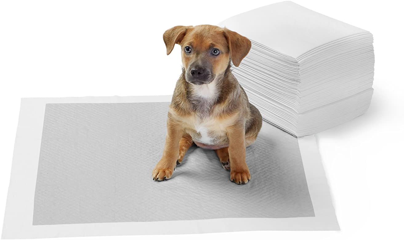 Tappetini igienici con carbone attivo per l’addestramento di cagnolini e altri animali domestici misura standard 10 pezzi