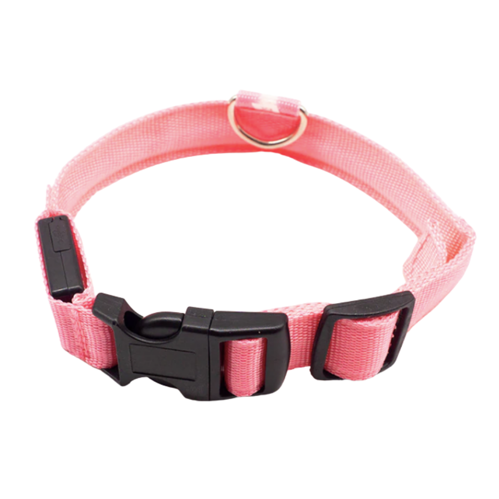 Collare Regolabile per animali domestici Con LED ricaricabili con USB Rosa